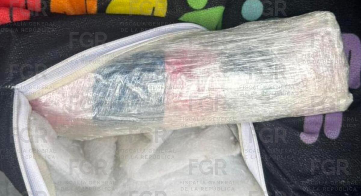 En Durango, FGR obtiene sentencia contra hombre por transportar éxtasis. | Milanio Policía