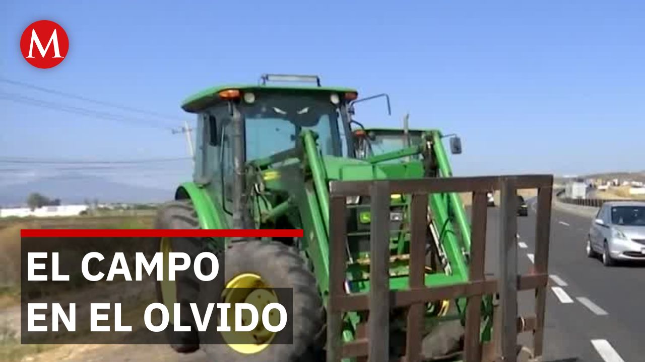 Guanajuato exige un cambio: Menos empresas de logística y más apoyo al campesino