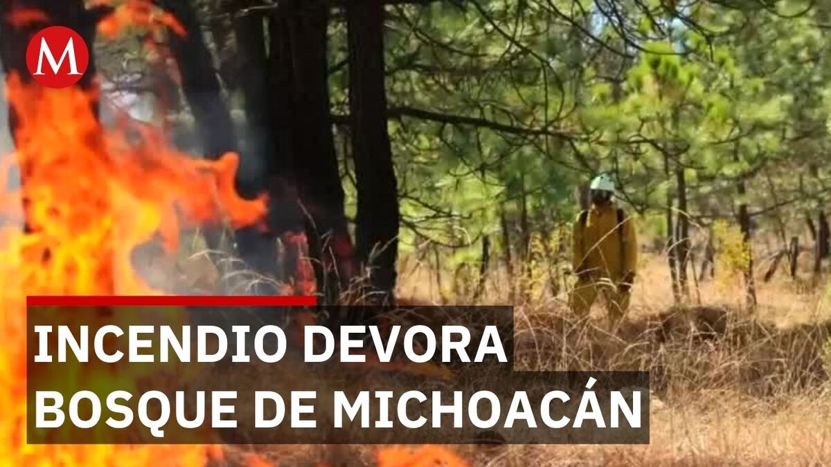 Incendio en Nuevo Urecho, Michoacán, consume 749 hectáreas