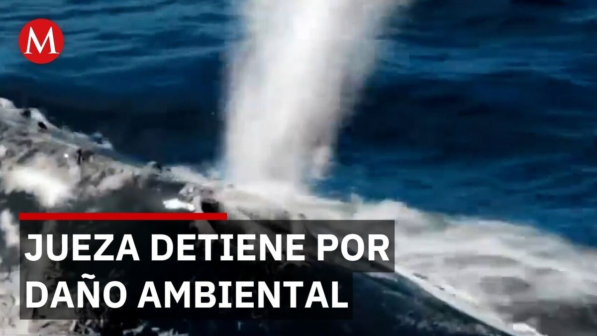 Jueza frena proyecto Sahuaro en Sonora por impacto ambiental