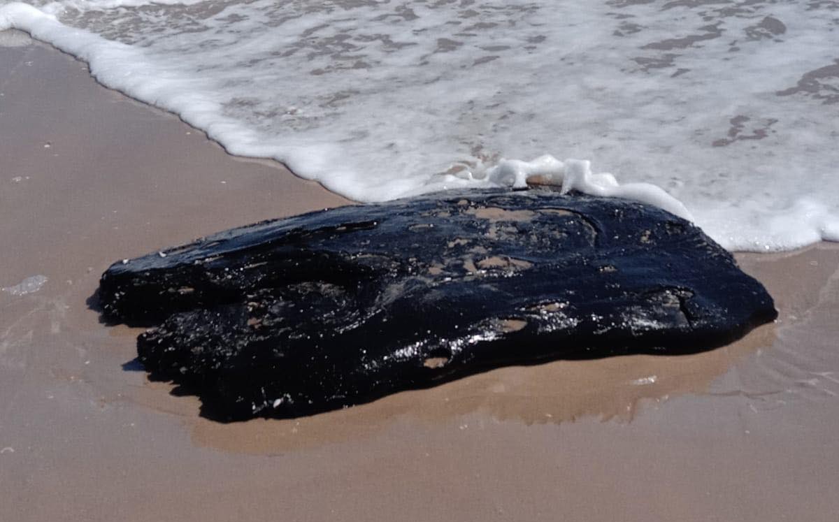 Mancha de chapopote en playa Bagdad. | Conibio Global A.C.