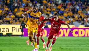 El partido de la Jornada 15 de la Liga MX entre Tigres y Necaxa cambia de fecha; aquí te decimos cuándo y a qué hora se jugará.