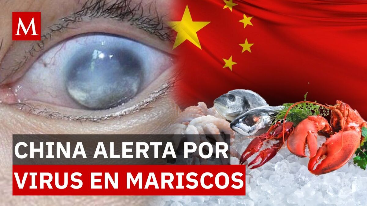 ¿Nueva amenaza? El virus que podría causar ceguera y preocupa a científicos