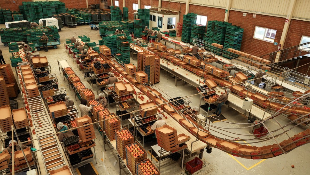 El Banco Mundial ha rebajado sus previsiones de crecimiento económico para América Latina y el Caribe en 2026. Foto: Cuartoscuro