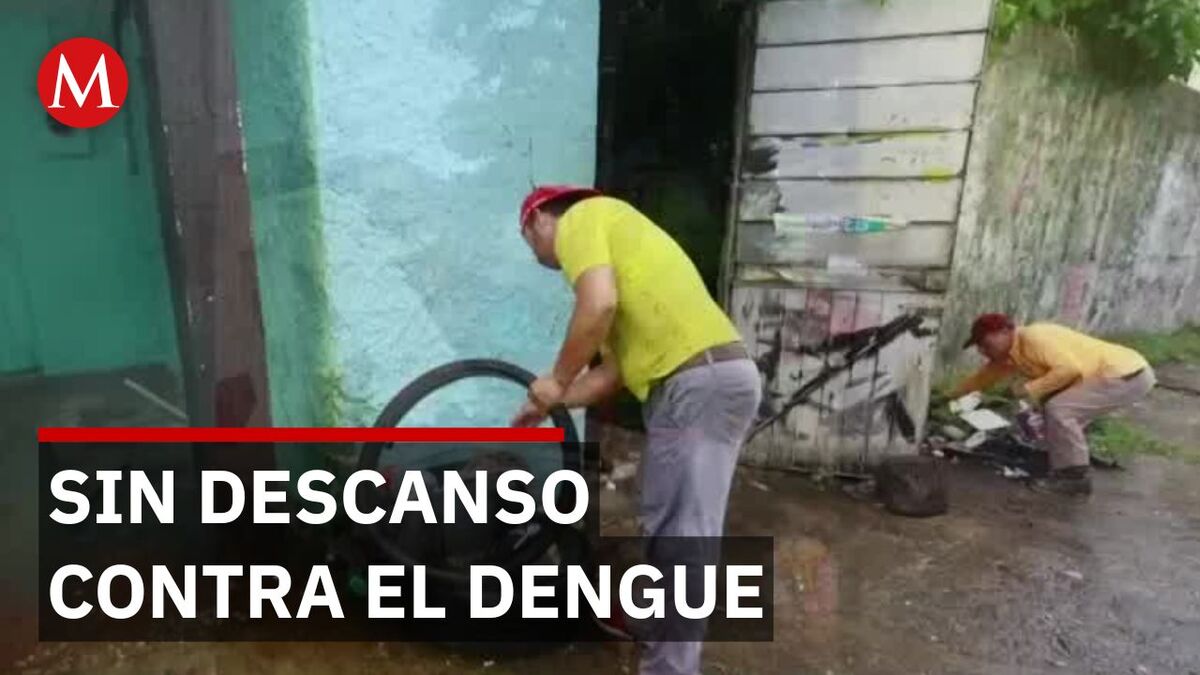 240 casos confirmados: Tabasco lidera incidencia de dengue a nivel nacional este 2026