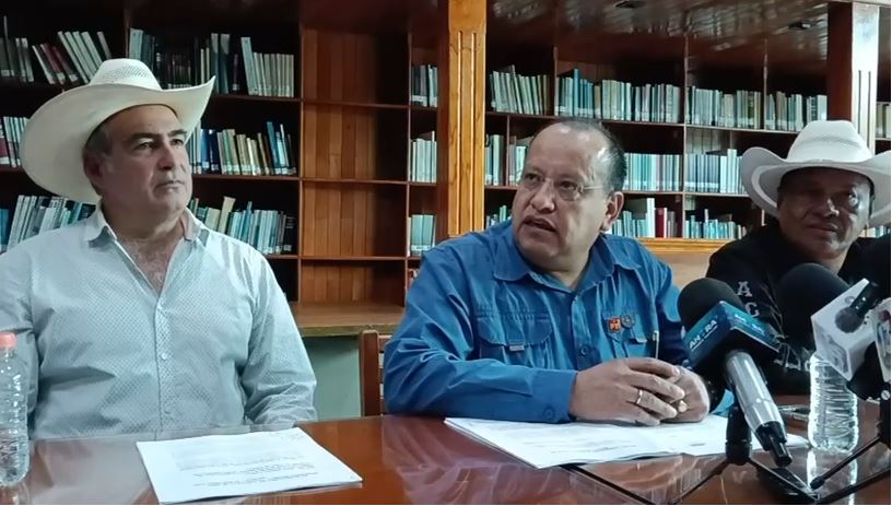 Diputado del PT. | Foto: Captura de pantalla