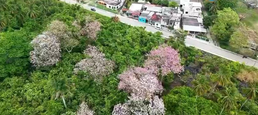 Donan predio para la reubicación de escuelas en Dos Bocas. | Captura de pantalla