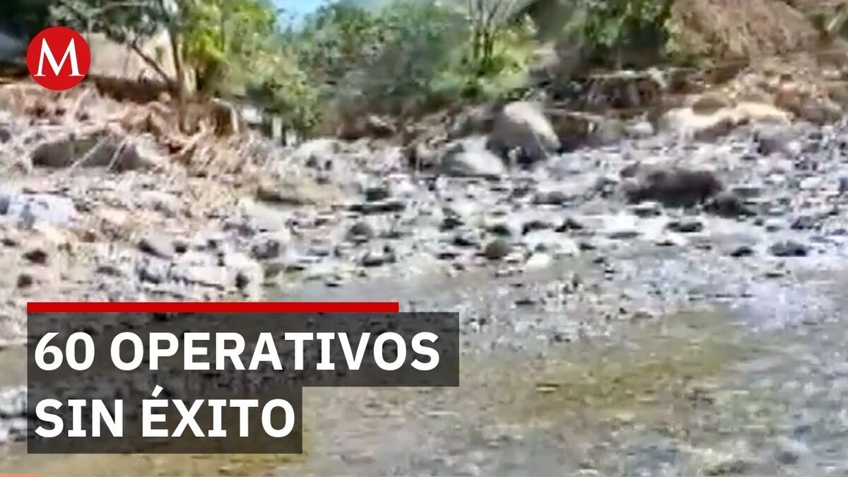 Drones y binomios caninos buscan a los desaparecidos de la vaguada en Hidalgo