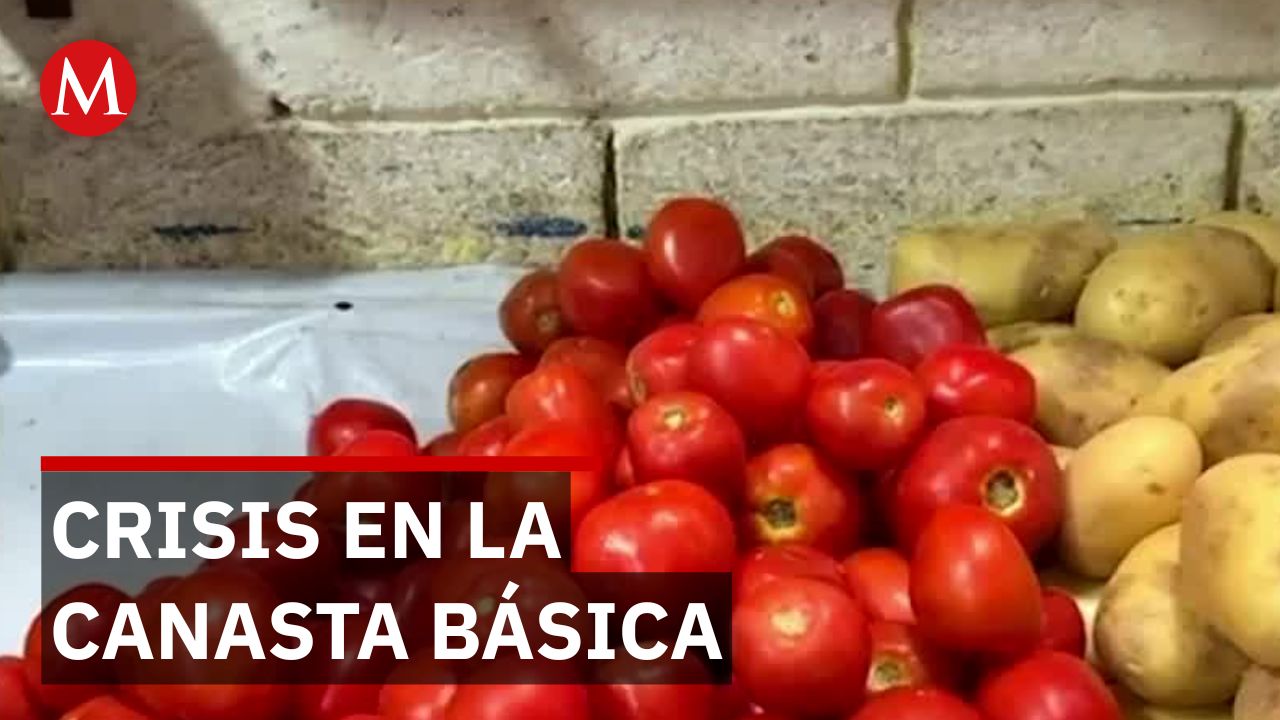 El precio del tomate se dispara: De 40 a 70 pesos en solo unos días en Tamaulipas