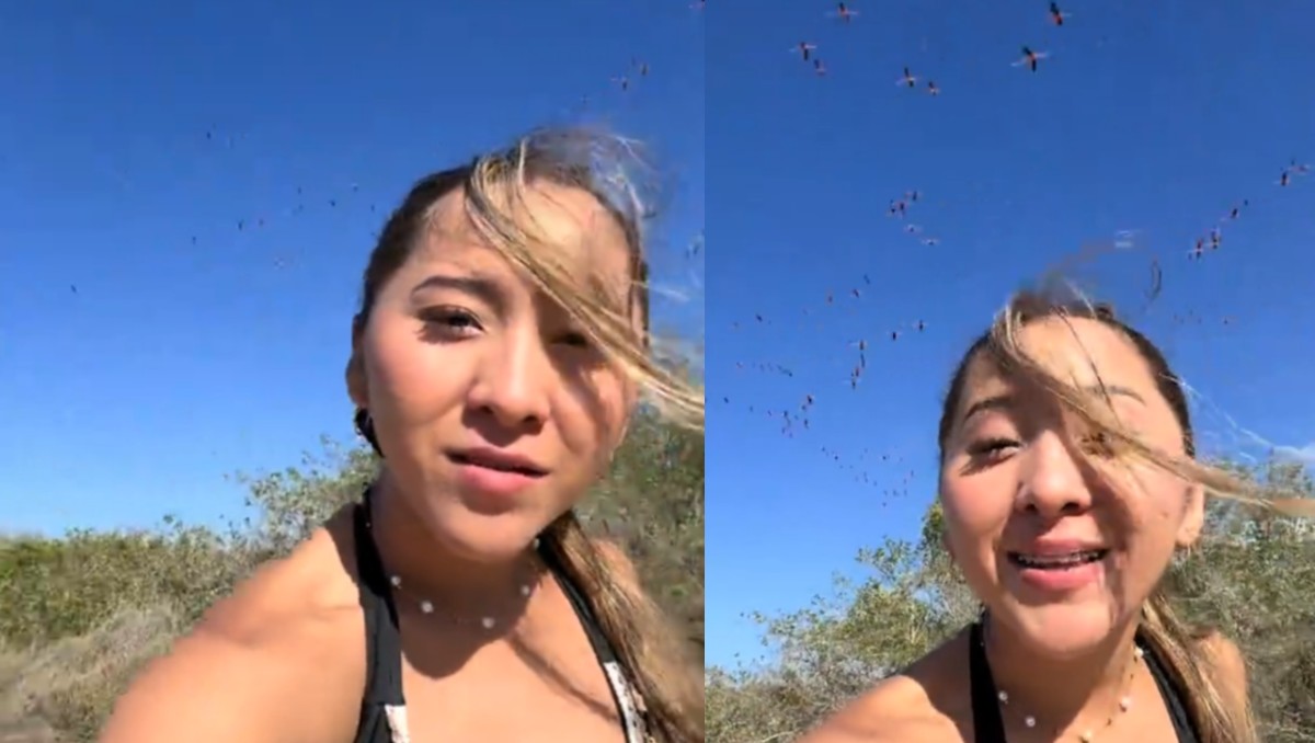 Elisa la Yuca espanta flamencos en Yucatán y desata polémica. | FOTO: Elisa la Yuca