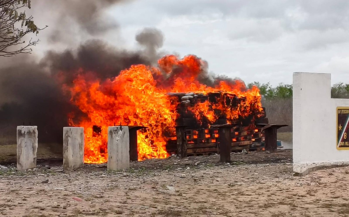 Guardia Estatal participa en la destrucción de enervantes en Reynosa. | SSPT