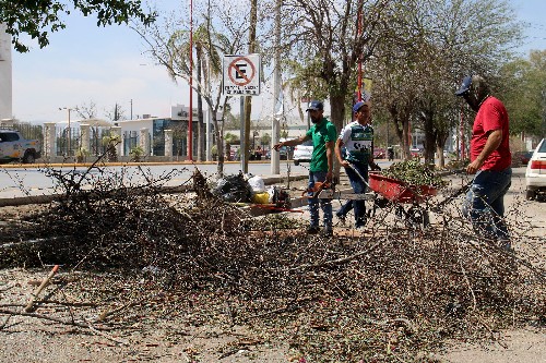 Ayuntamiento pone en marcha brigada de 700 personas para limpiar Lerdo tras tromba