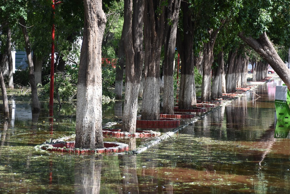 Luego tromba en Lerdo, la CNA no ha emitido comunicado por falta de información preventiva | Roberto Amaya