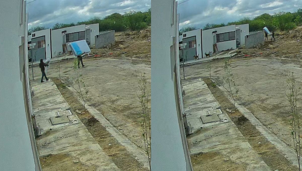 Hasta el momento autoridades no han realizado ninguna detención. Especial