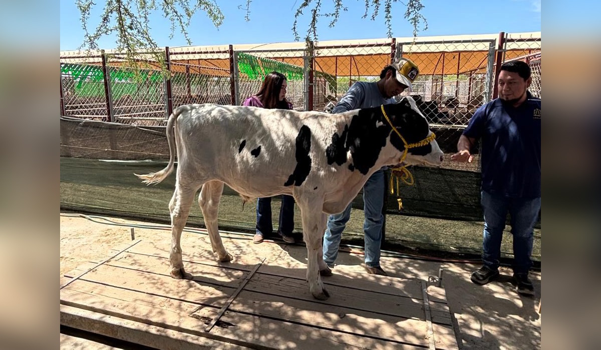 El proyecto no tiene un tiempo definido como tal; cada ciclo dura 5 meses. (cortesía)