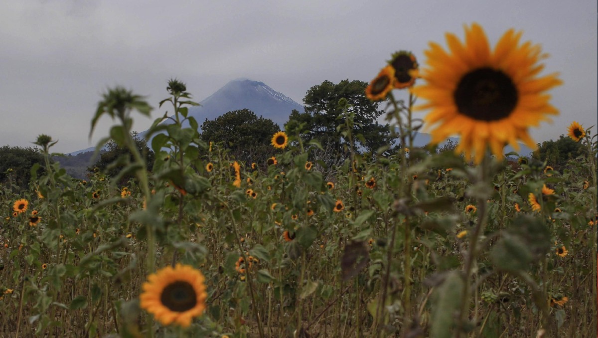 Volcán Popocatépetl |Andrés Lobato