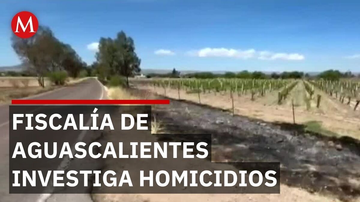 Automovilistas alertaron sobre bultos sospechosos en la carretera a Santa María de la Paz, Cosío. Autoridades confirman dos muertos con signos de viol