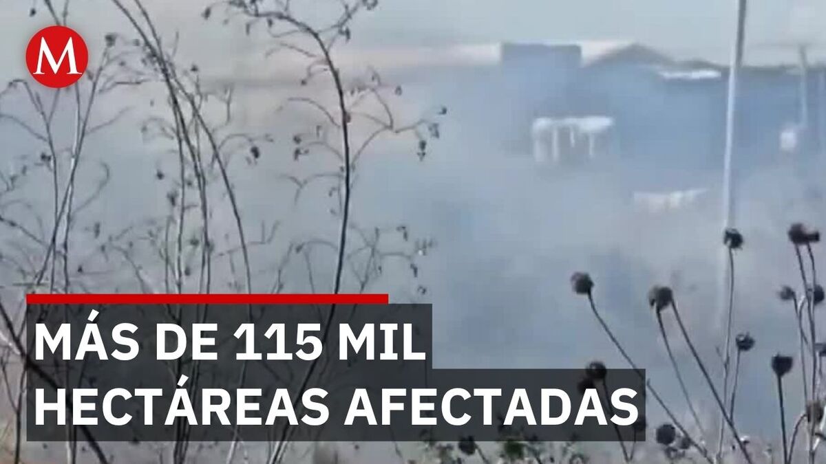 CONAFOR reporta 40 incendios forestales activos en 11 estados