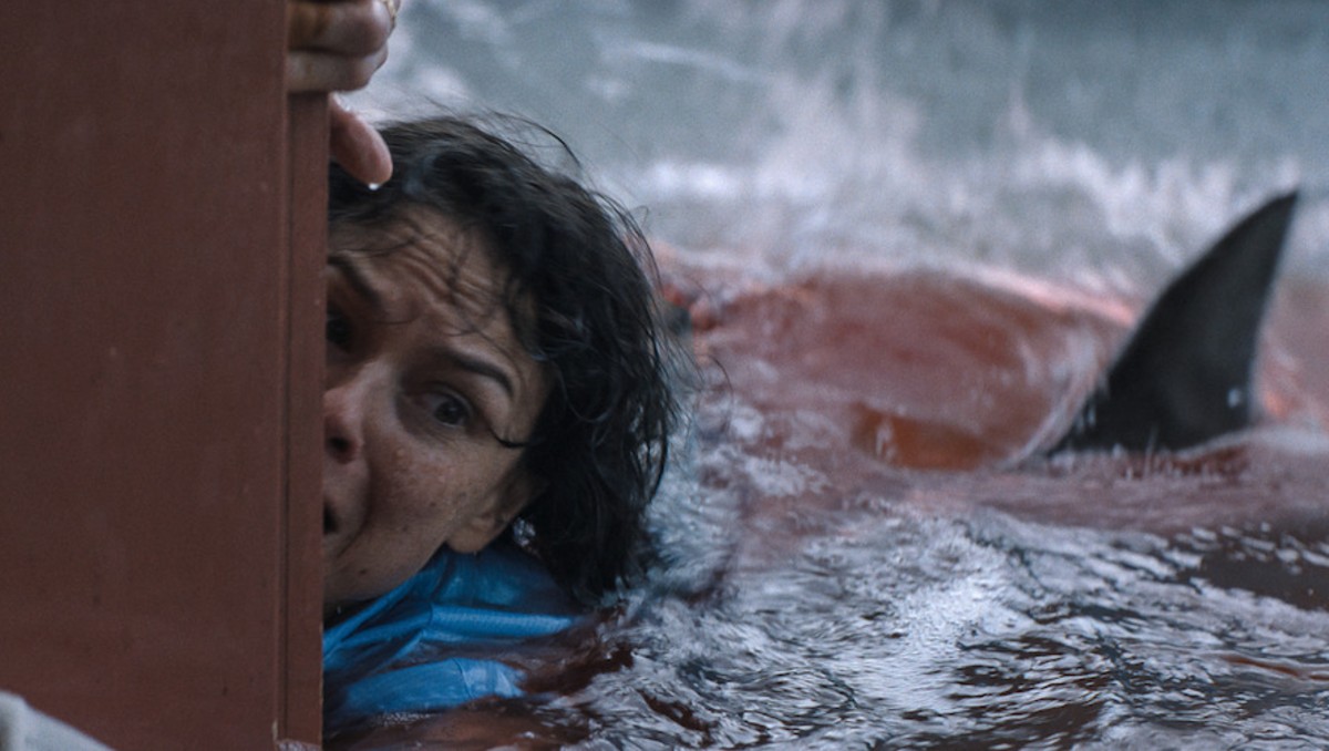 Embestida en Netflix: sinopsis, reparto y contexto de la película. | FOTO: Netflix