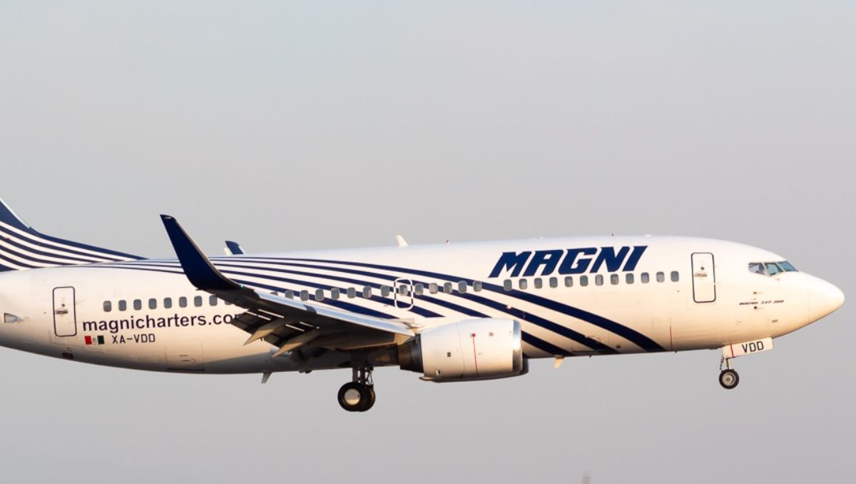 Los vuelos de Magnicharters serán cancelados por dos semanas. | Especial