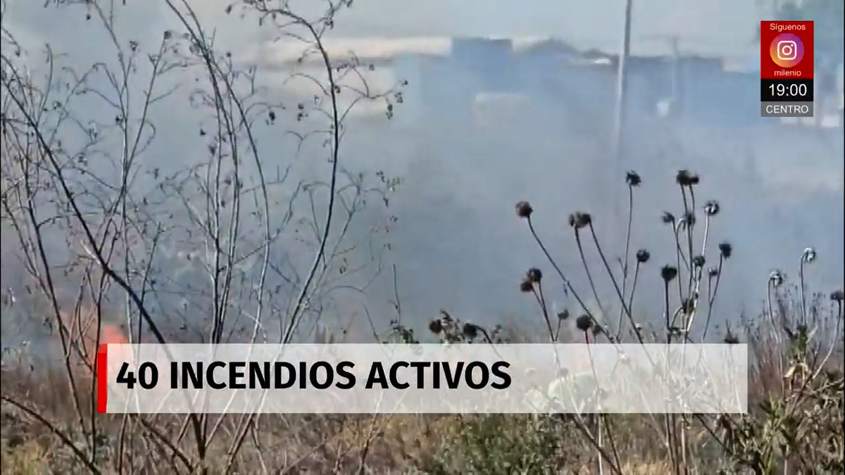 Milenio Noticias con Rubén Carreón, 11 abril de 2026