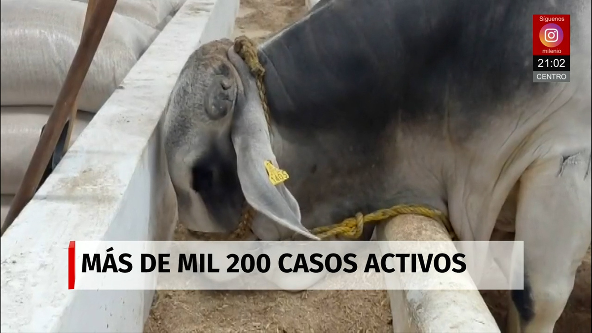 Milenio Noticias, 11 de abril de 2026