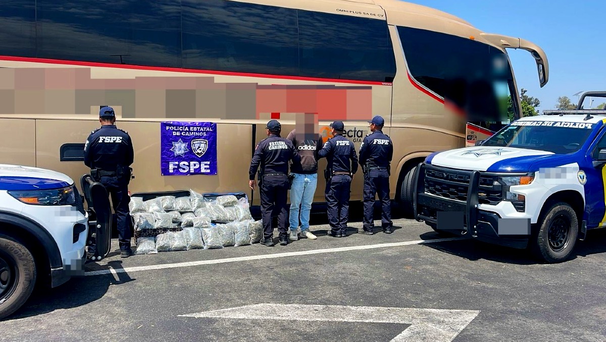 Guanajuato: aseguran miles de dosis de marihuana en autobús | Especial