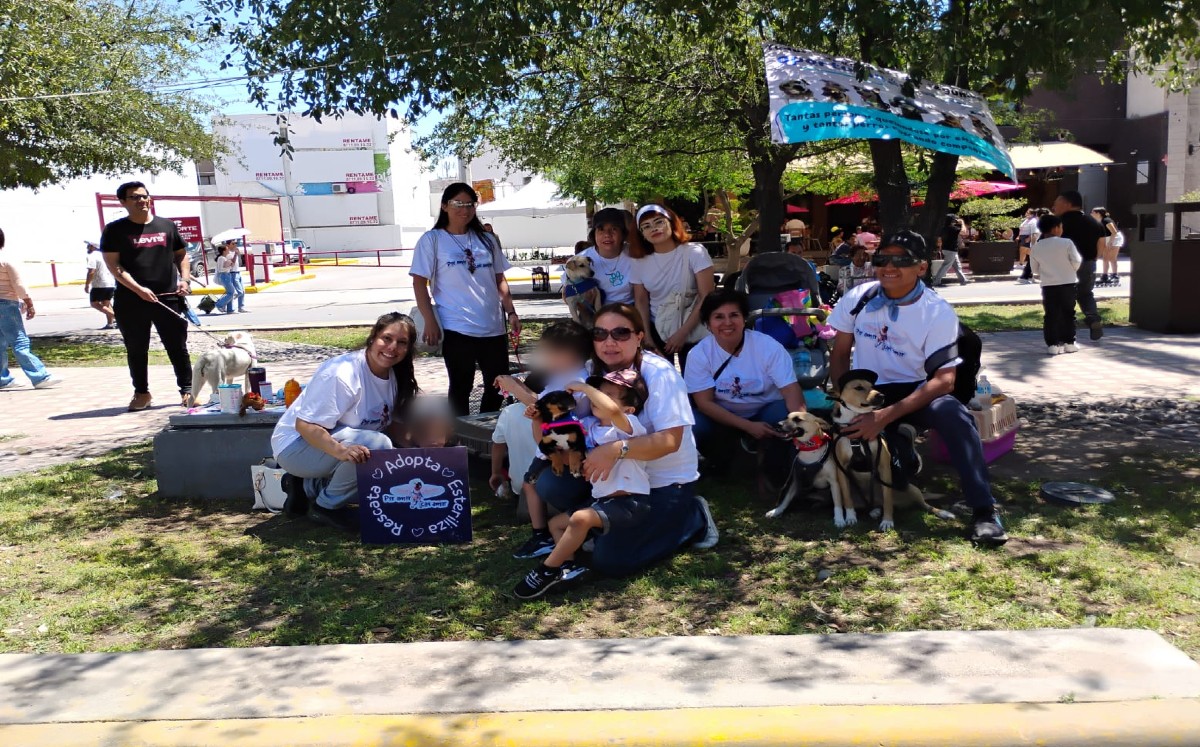 Rescatatistas de perritos de la calle se unen en Por Amor & Con Amor TRC. | Foto: Lilia Ovalle