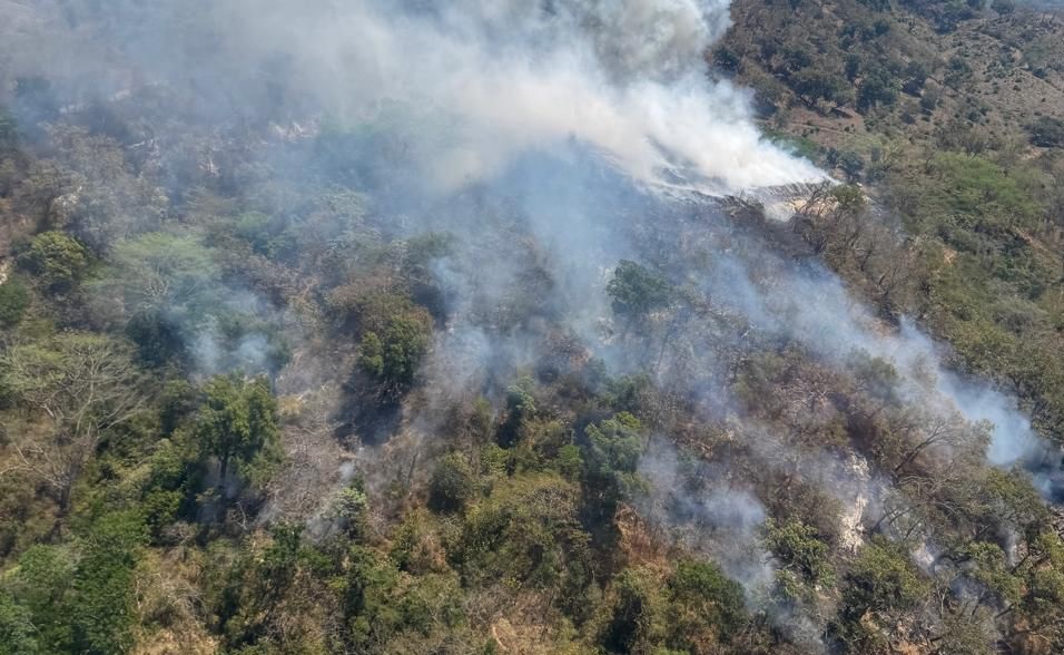 Incendio forestal activo en el paraje Arroyo Seco. (Cortesía)