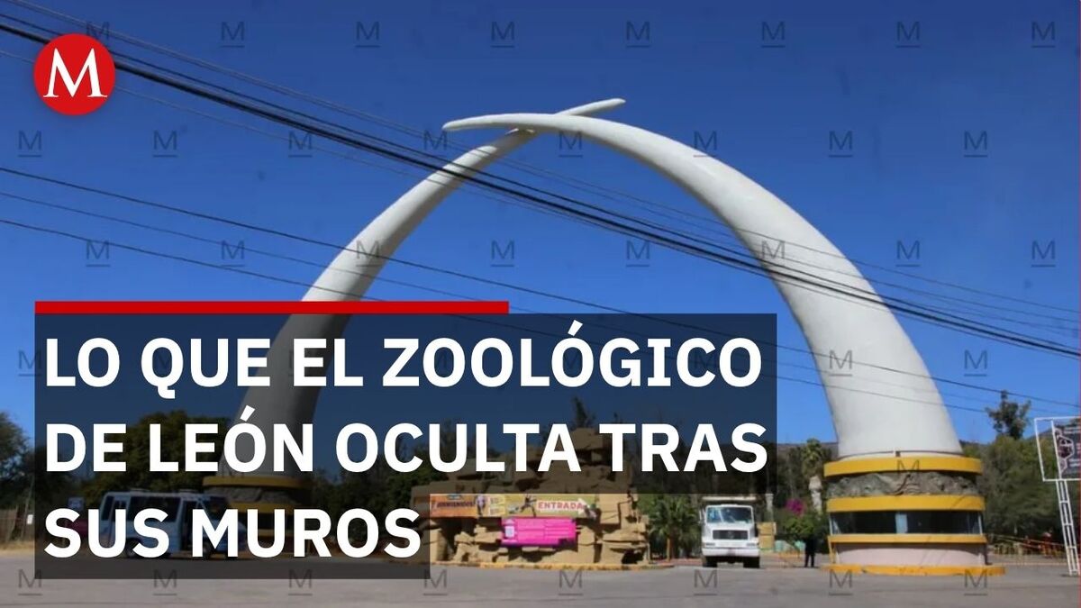 Más de mil muertes en una década registradas en el Zoológico de León