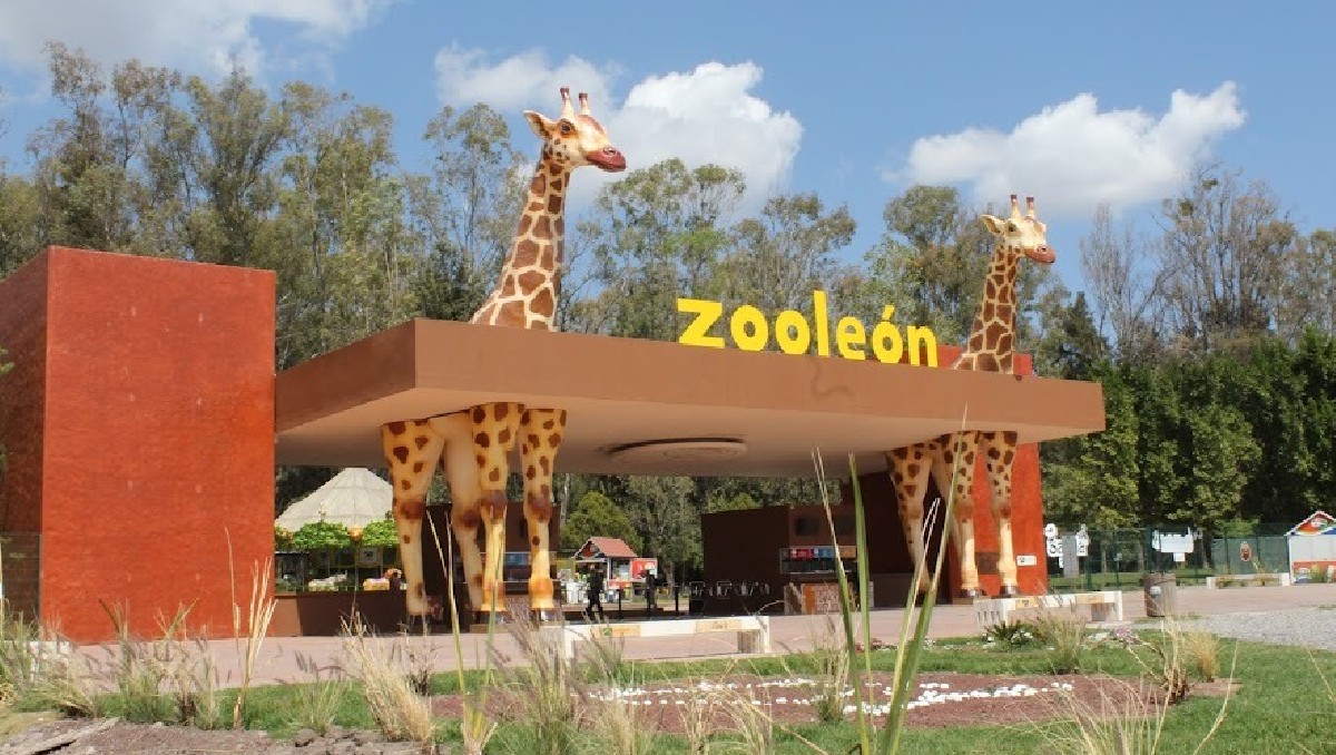 Tras la muerte de varios animales en el Zoológico de León se espera que con la nueva administración estas irregularidades terminen | Dany Véjar