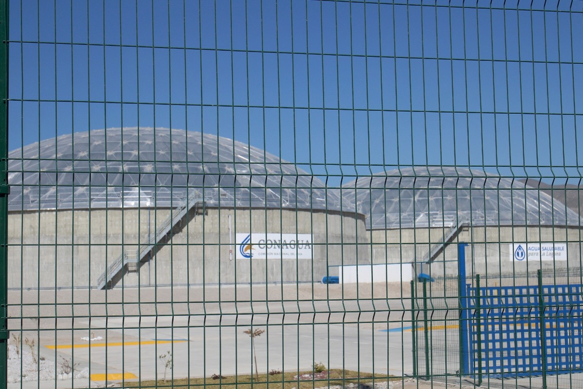 Plantas tratadoras Agua saludable para La Laguna. | Rolando Riestra