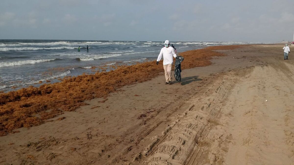 Toneladas de sargazo invaden las playas de Coatzacoalcos, sumándose al derrame de hidrocarburo. | Especial