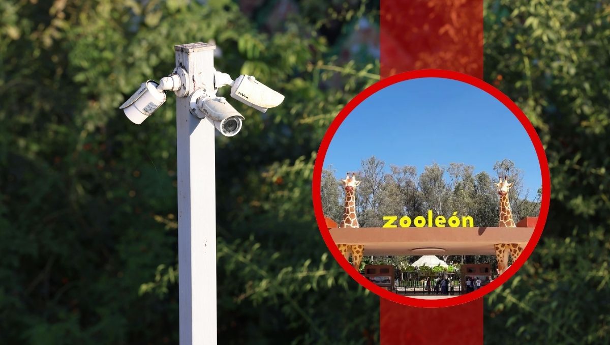 Zoológico de León reforzará seguridad; videovigilancia cubre ya el 90% del recinto.