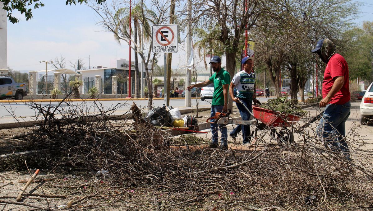 La alcaldesa de Lerdo anunció que a partir de ahora vendrá otra etapa de seguimiento para mantener a Lerdo limpio. | Especial