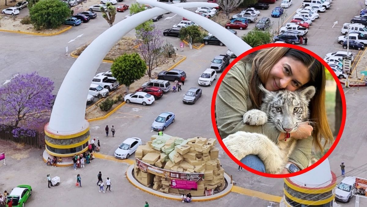 Cancelan toma de protesta de Diana Casillas, nueva directora del Zoológico de León