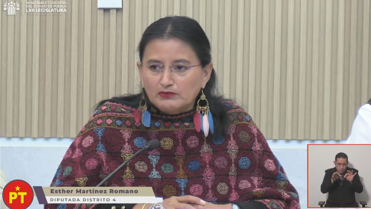 Esther Martínez Romano, diputada local del Partido del Trabajo (PT) en Puebla | Especial