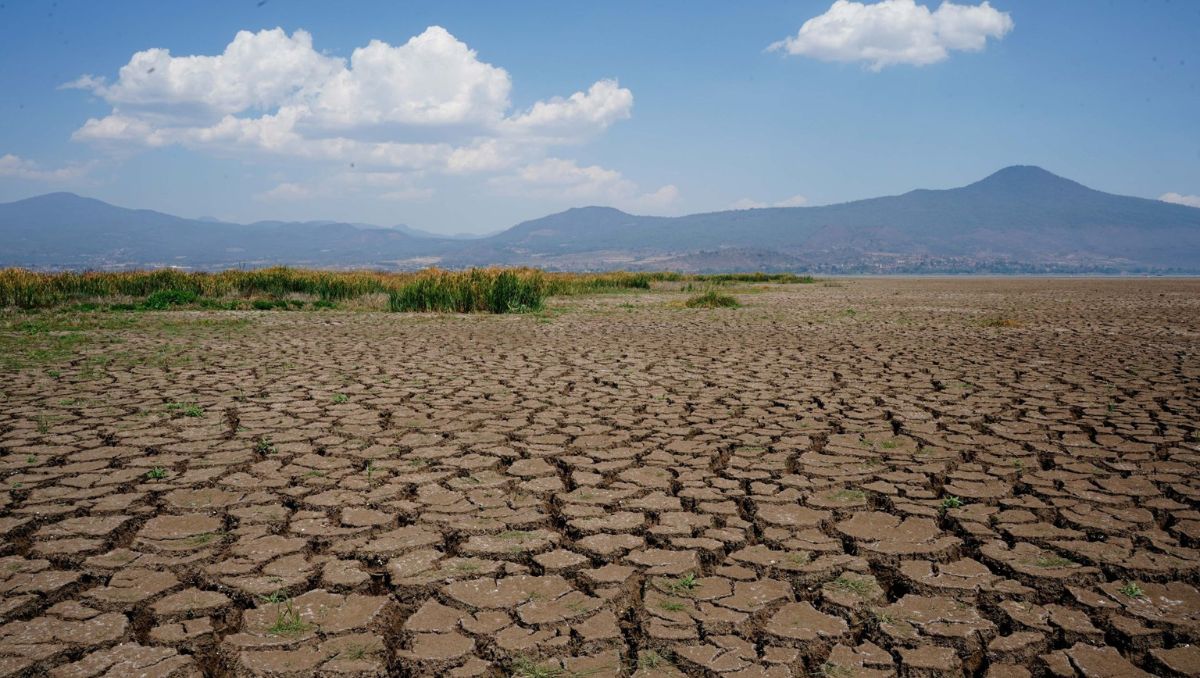 El fenómeno del el Niño afecta el clima de los países, aunque incluso dentro del mismo territorio su impacto puede variar  | Cuartoscuro