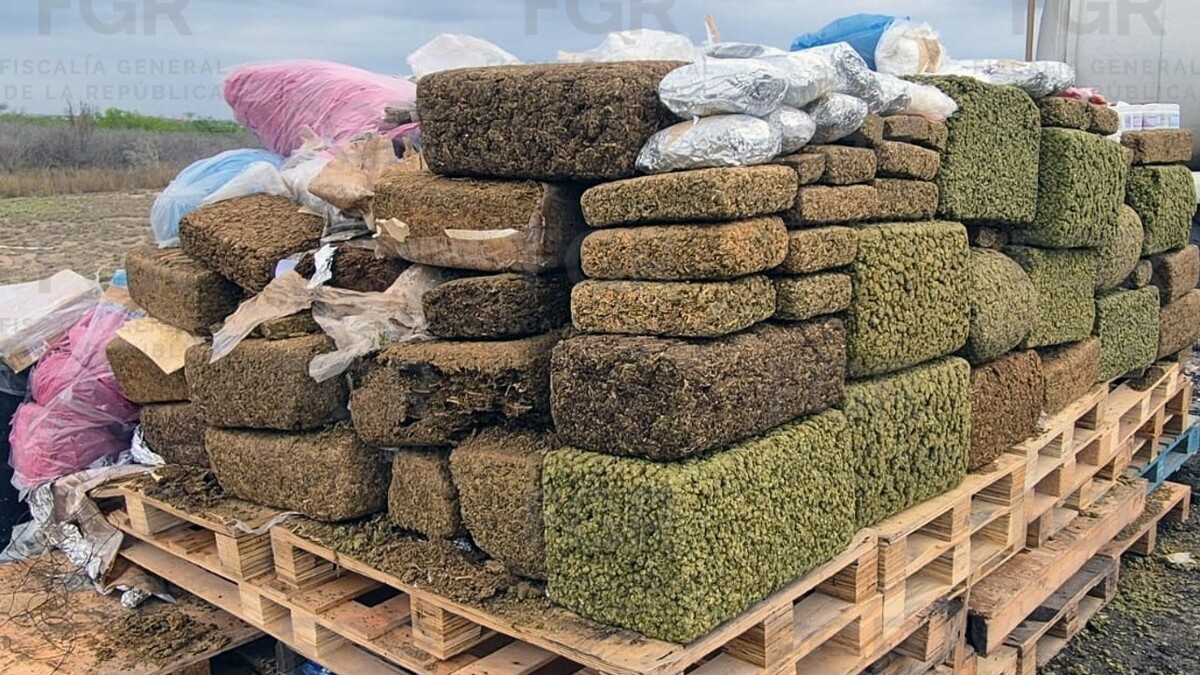 FGR incinera casi una tonelada de droga en Reynosa