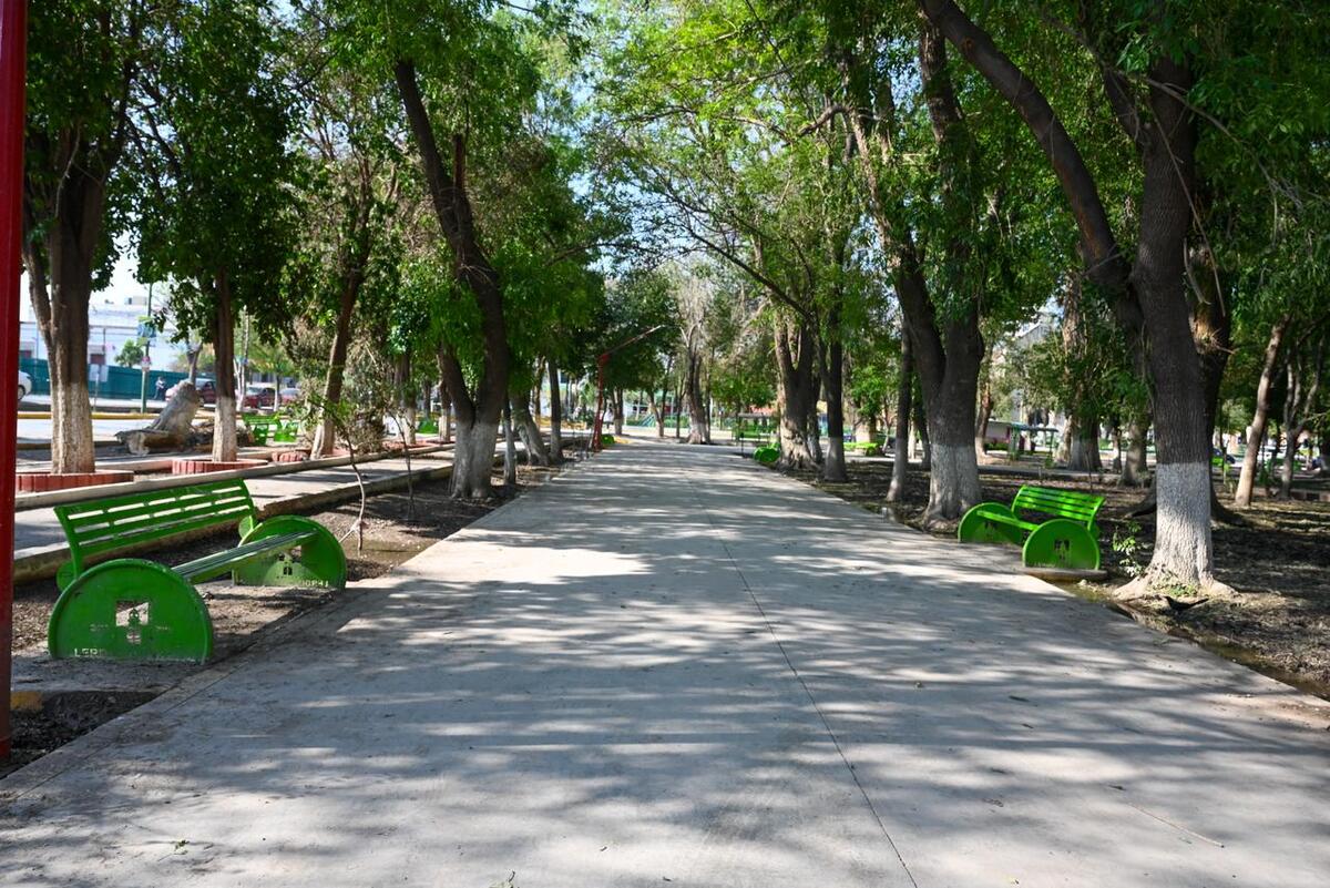 Se han recolectado más de mil toneladas de basura, de las cuales el 75 por ciento corresponde a material vegetativo. | Especial