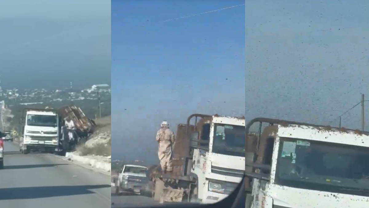 Abjeas se escapan tras volcadura de camión en Nuevo León | Especial