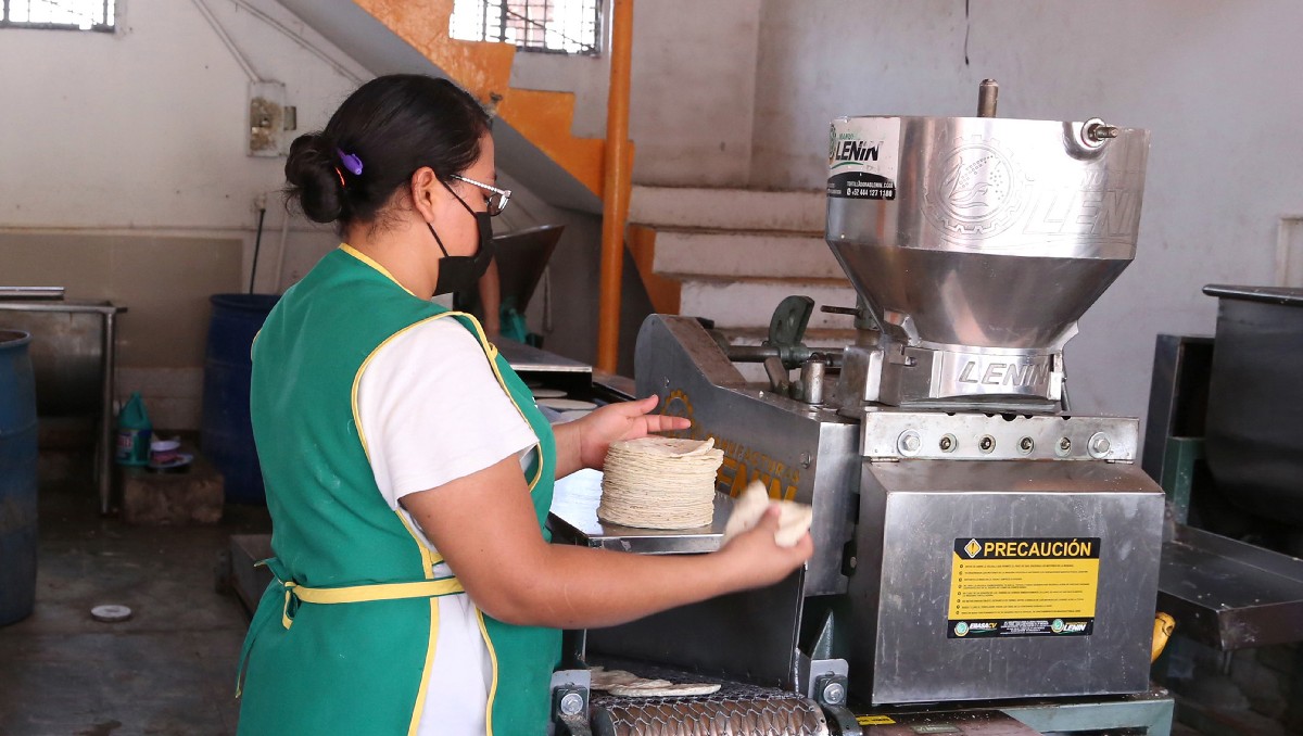 Analizan subir el precio de la tortilla en la zona conurbada de Tampico. (Yazmín Sánchez)