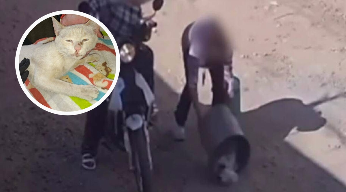 El animal fue resguardado y, con apoyo de la ciudadanía, se logró identificar a la presunta responsable.