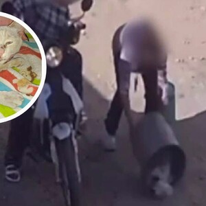 El animal fue resguardado y, con apoyo de la ciudadanía, se logró identificar a la presunta responsable.