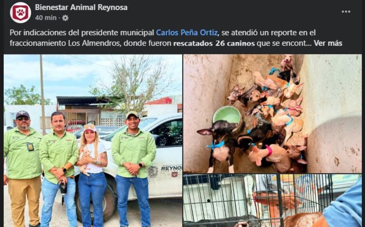 Los animales recibieron asistencia veterinaria. | Bienestar Animal de Reynosa