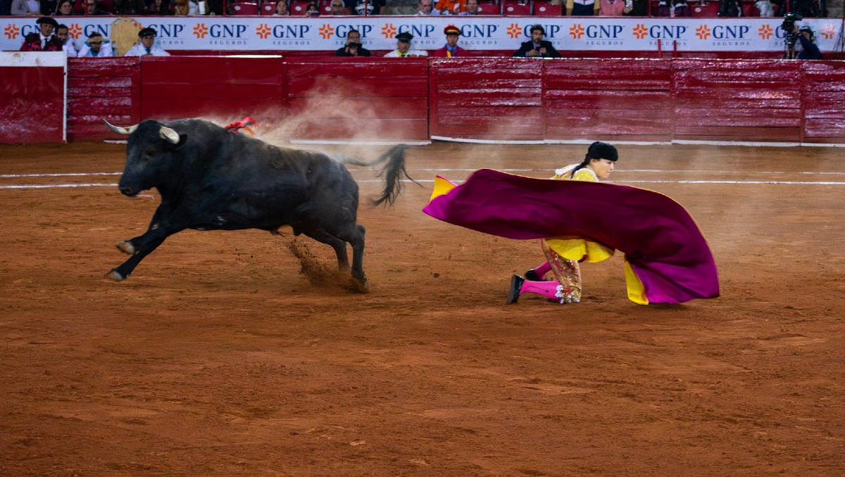 Congreso de Hidalgo deberá emitir en un plazo de 10 días hábiles el dictamen sobre la iniciativa. (Cortesía)