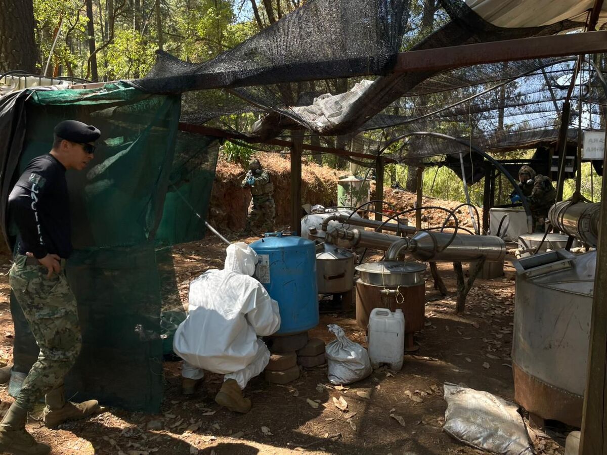 Elementos de la Marina durante el curso de localización de laboratorios clandestinos. | Especial