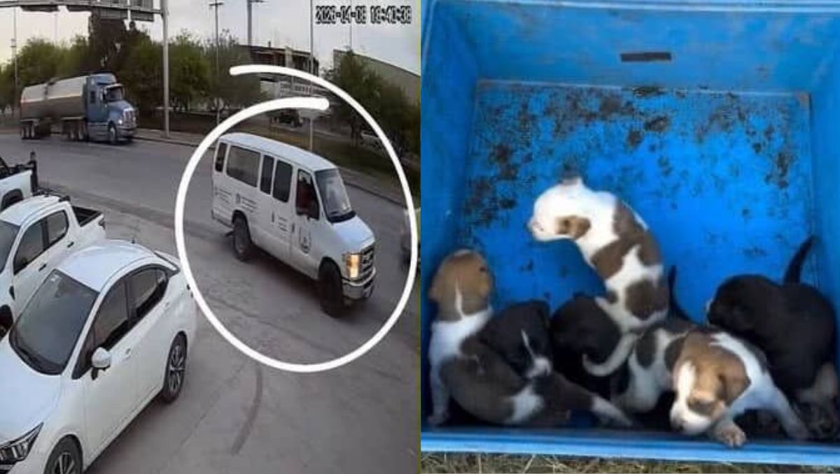 La camioneta contaba con rótulos de una empresa. | Especial