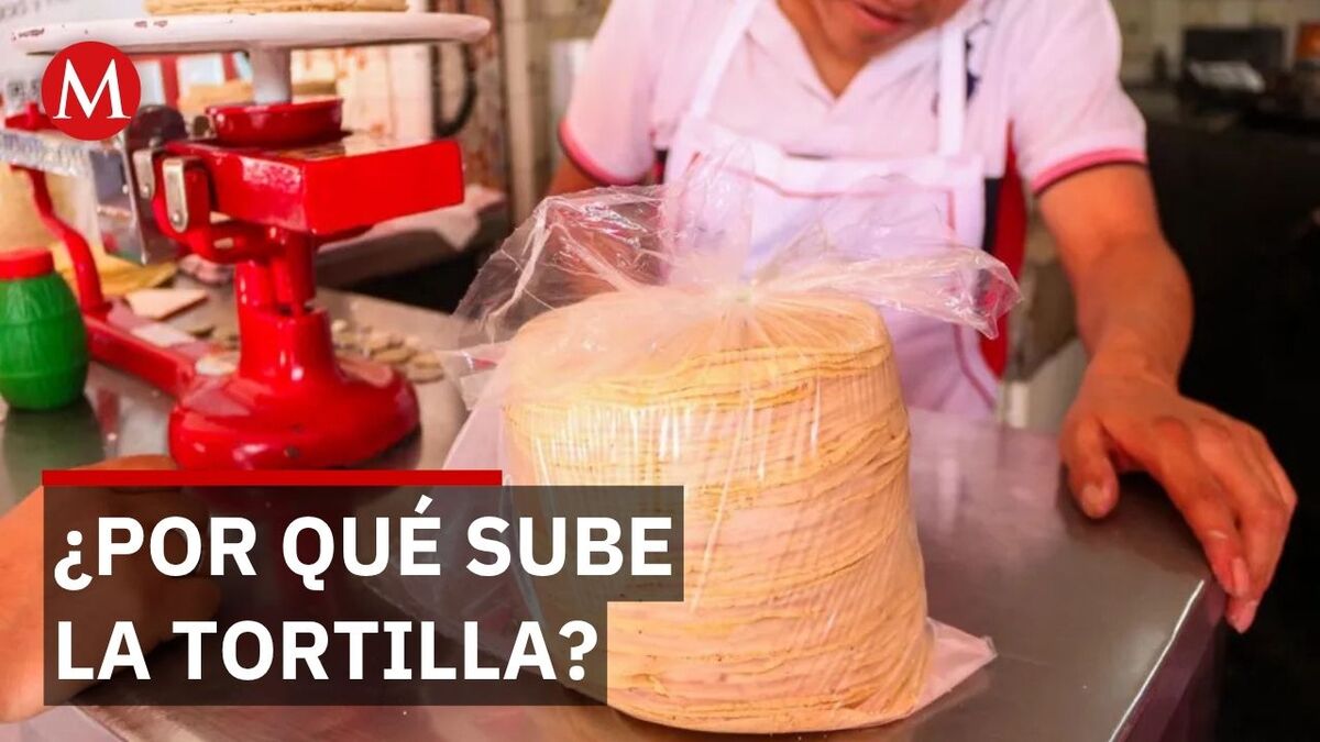 ¿La tortilla podría llegar a 30 pesos por kilo?
