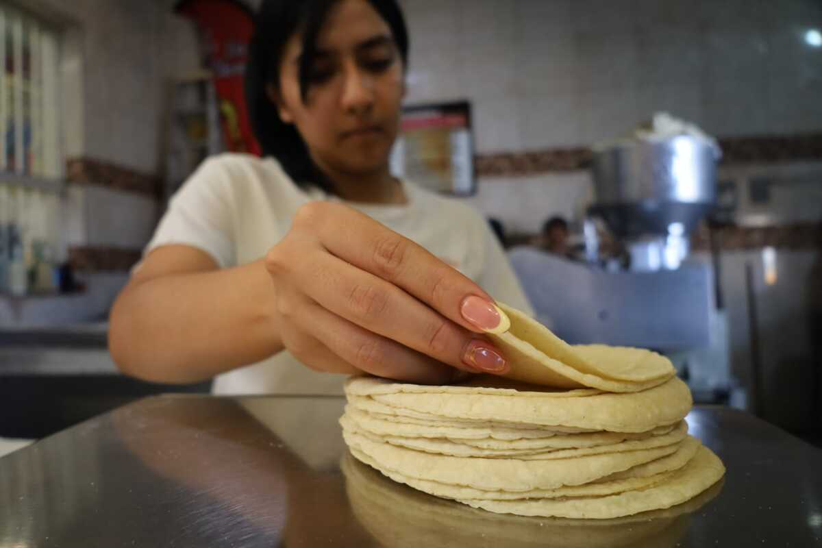 En La Laguna, tortillerías resisten alza y mantienen precios estables. | Verónica Rivera